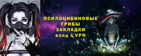 не бодяженный Алексин